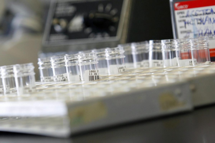 resistencia a antibióticos